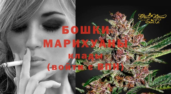 гидра Вязники