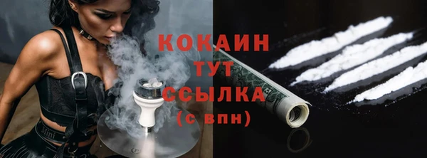 молекула духа Гусев