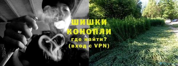 молекула духа Гусев