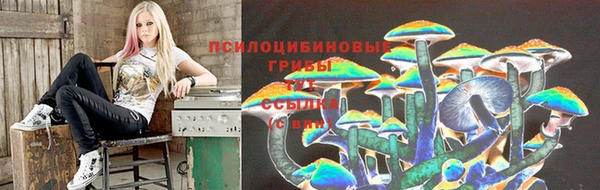 спиды Вязьма