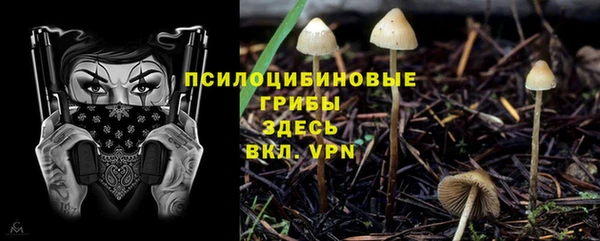 спиды Вязьма
